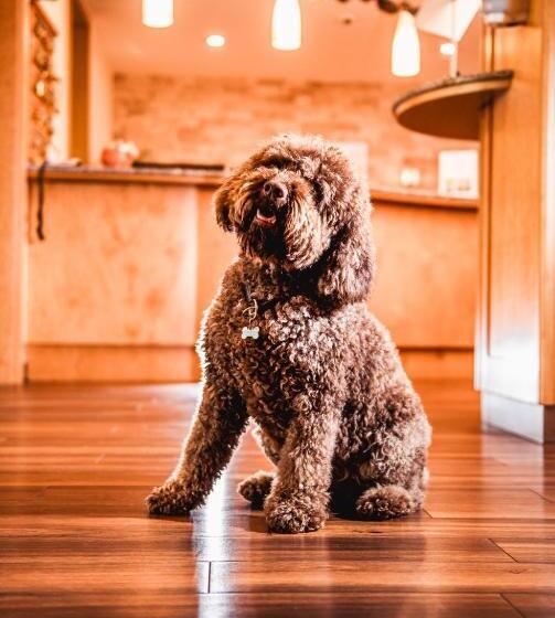 Отель Simon   Das Vital