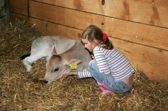 Urlaub Bauernhof Sohlerhof