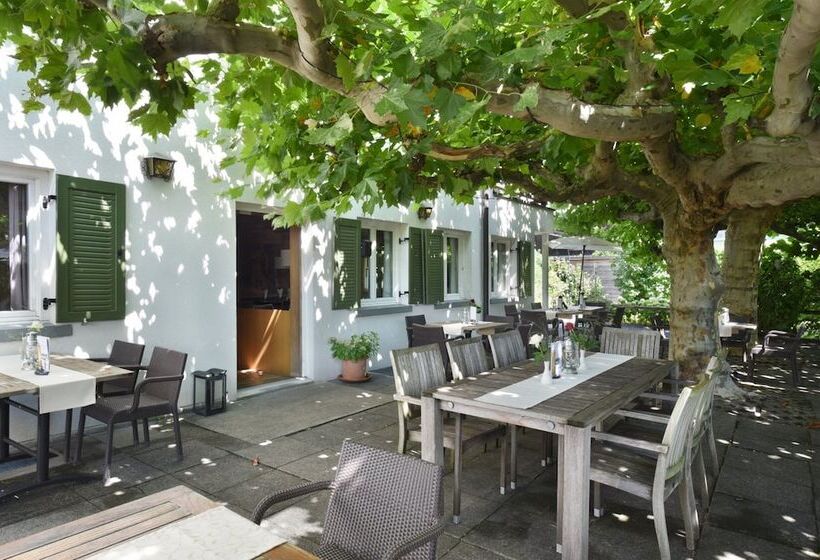 فندق Weisses Kreuz