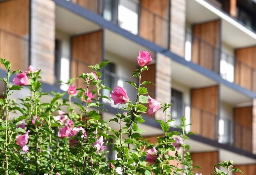 فندق Weisses Kreuz