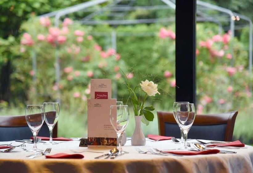 فندق Weisses Kreuz