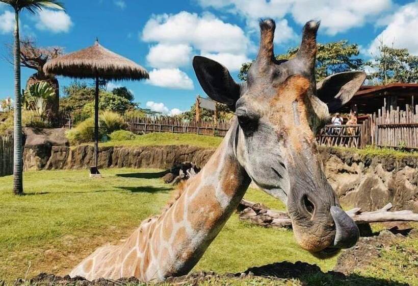 Monterosa Apartamentos Amoblados