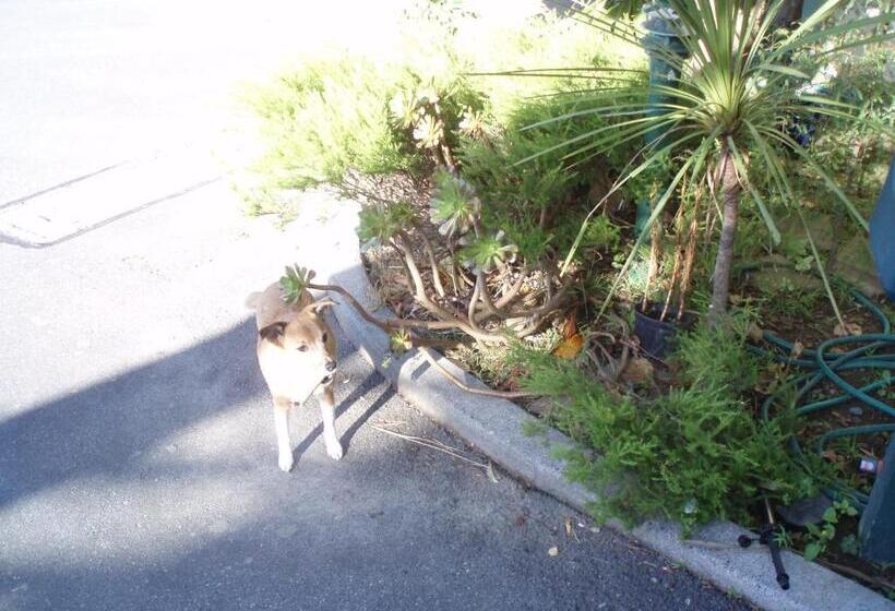 מוטל Fernhill Motor Lodge