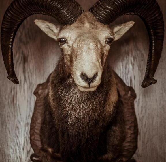 بنسيون Die Linde