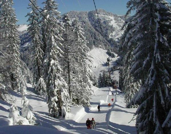 بنسيون Gasthof Ochsen