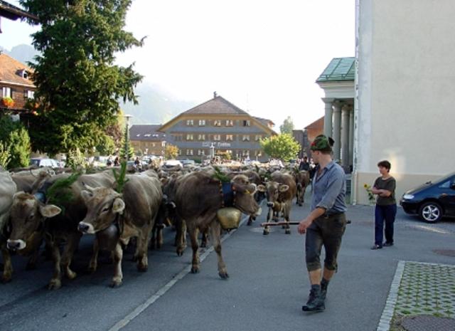 بنسيون Gasthof Ochsen