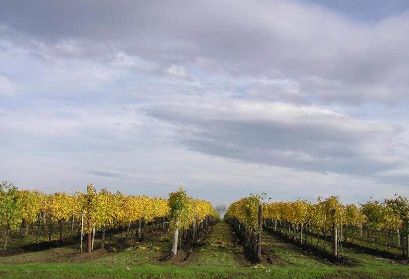 ペンション Weingut Gastehaus Palkowitsch