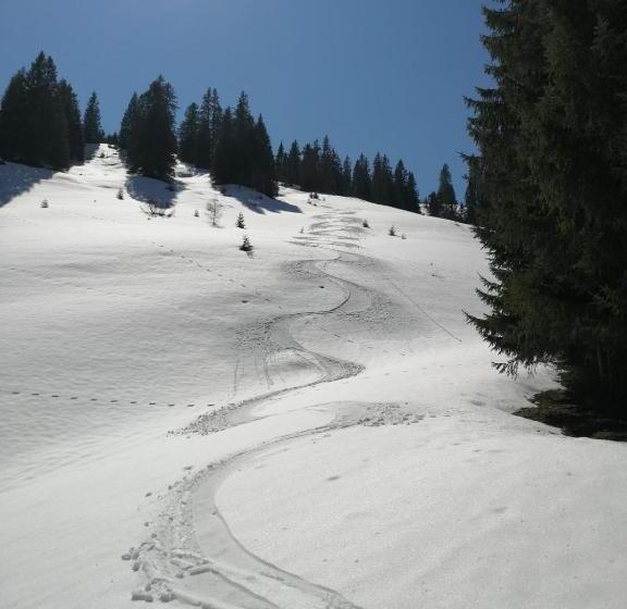 Relax & Vitalhotel Adler