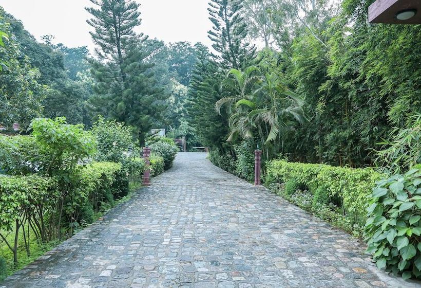 אתר נופש Riverside By Aahma