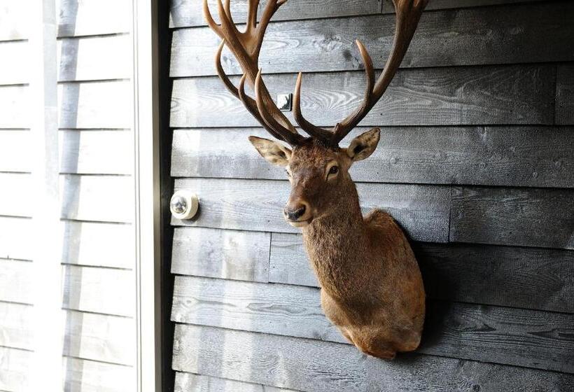 Star Lodge Hotels Utrecht