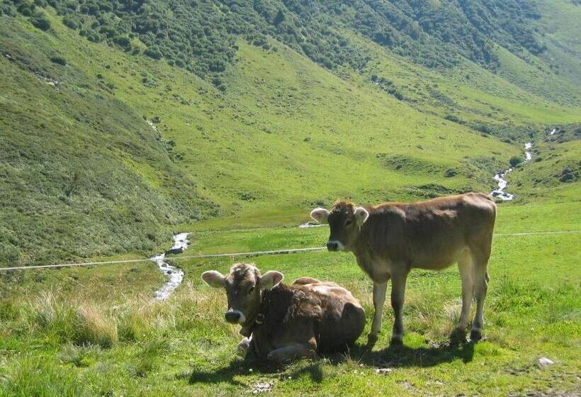 Valbella Bed & Breakfast