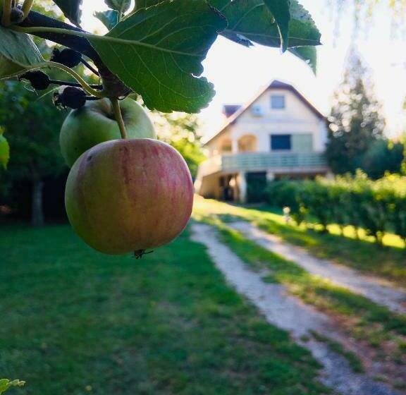 Csendes Vendégház, Families, Hikers & Bikers