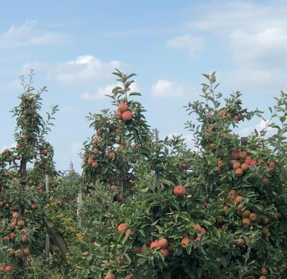 Gastenverblijf Op De Prins Hendrik Hoeve In Buren