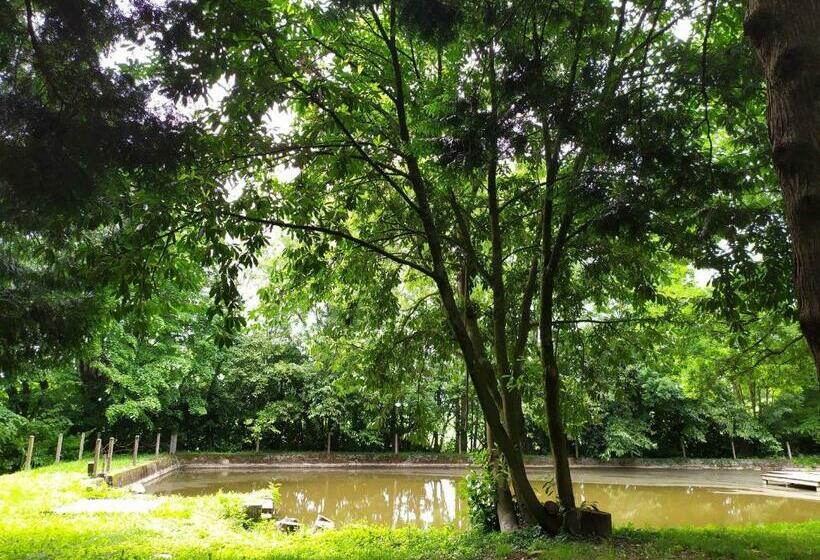 Château Xixème Pour 12 Pers, Parc 1.3ha, Chambres D époque, Proche Commerces, Laval Et Activités