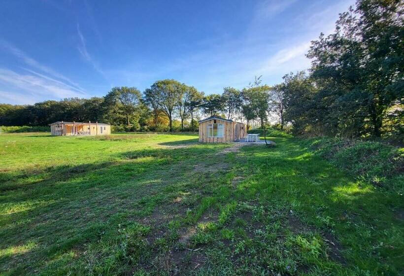 Hoeve Twente   De Buizerd