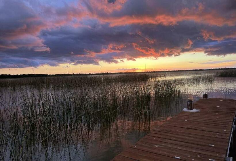 Lake Hamilton Iii Pool And Backyard Oasis With Kayaks Lake Access Theater