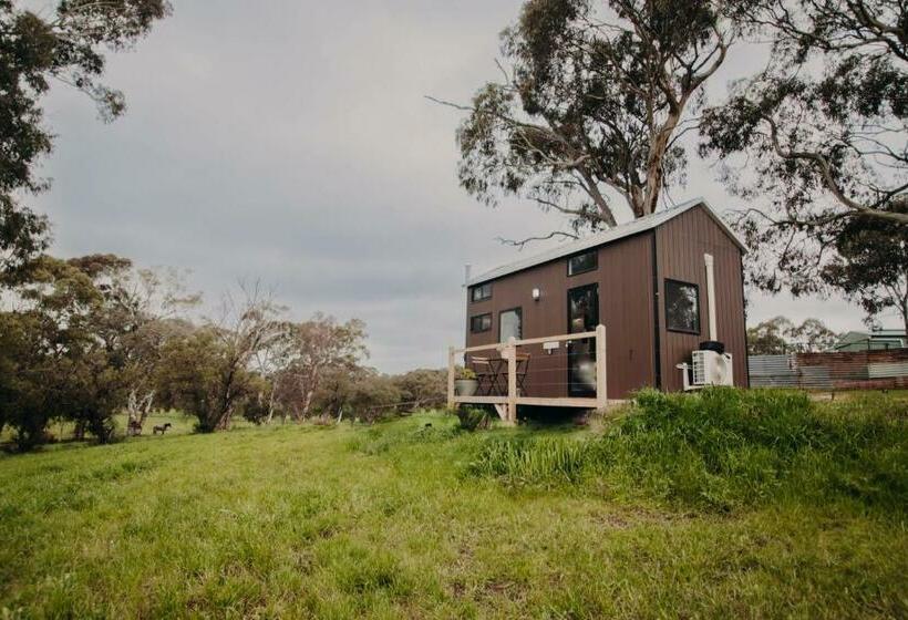 Rosewood Mac By Tiny Away