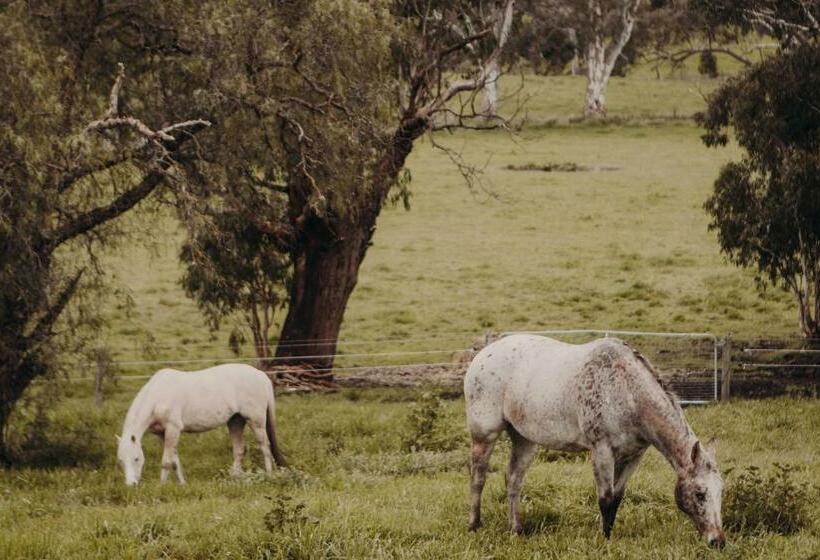 Rosewood Mac By Tiny Away