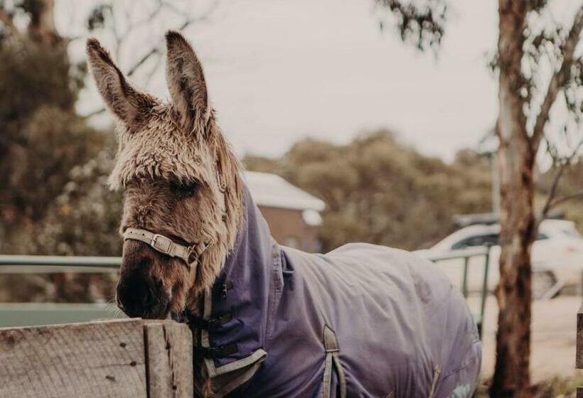 Rosewood Mac By Tiny Away