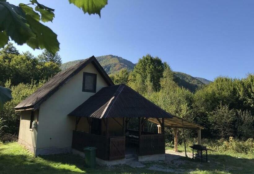 Roua   Apuseni Mountains