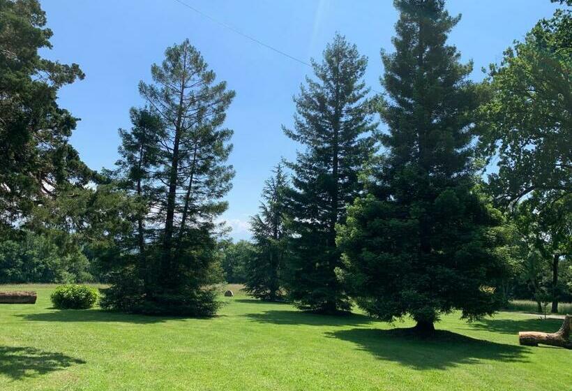 Chateau D Echenevex   Luxury Escape Near Geneva