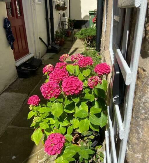 Cosy 400 Yr Old Cottage, Flowergate, Whitby