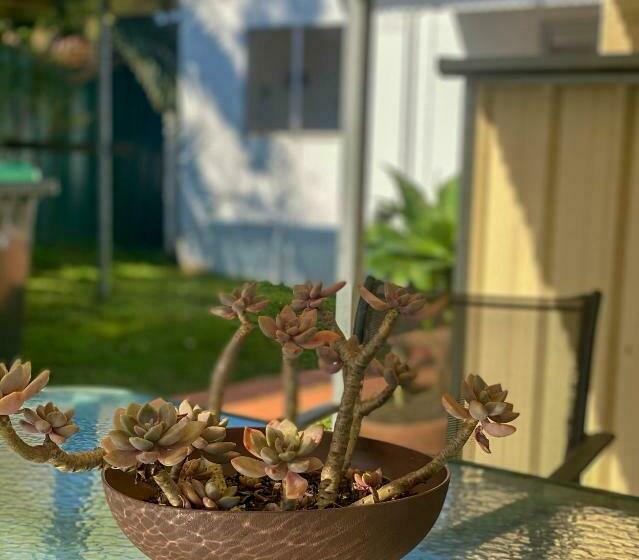 Cosy Guesthouse With Private Garden