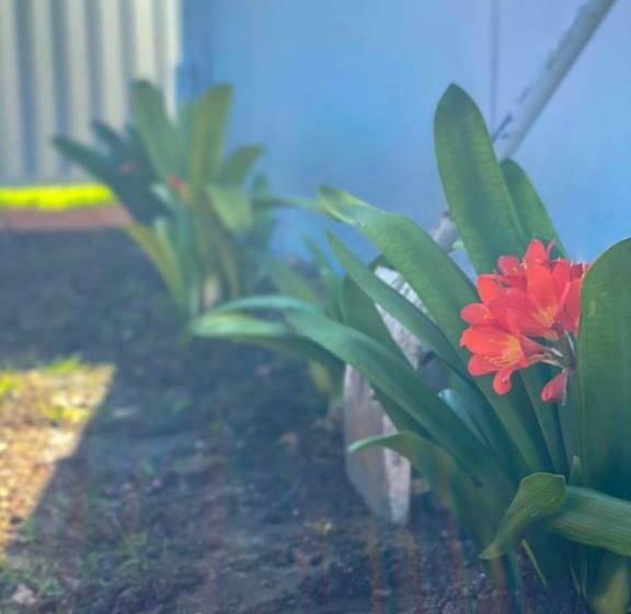 Cosy Guesthouse With Private Garden