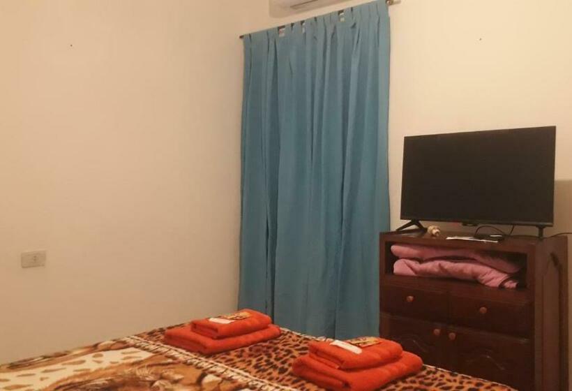 Hermoso Departamento De 1 Dorm, Con Estacionamiento Mediano