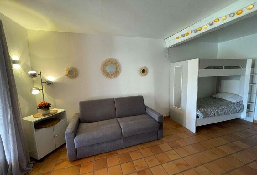 Les Magnolias Au Soleil