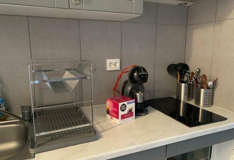 Les Magnolias Au Soleil