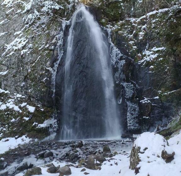 Les Marmottes Du Sancy