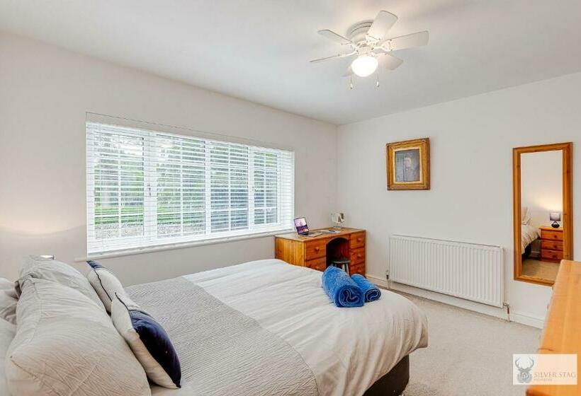 Silver Stag Properties Large 4 Bed Property