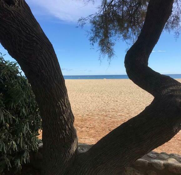 Studio Avec Jardin Front De Mer