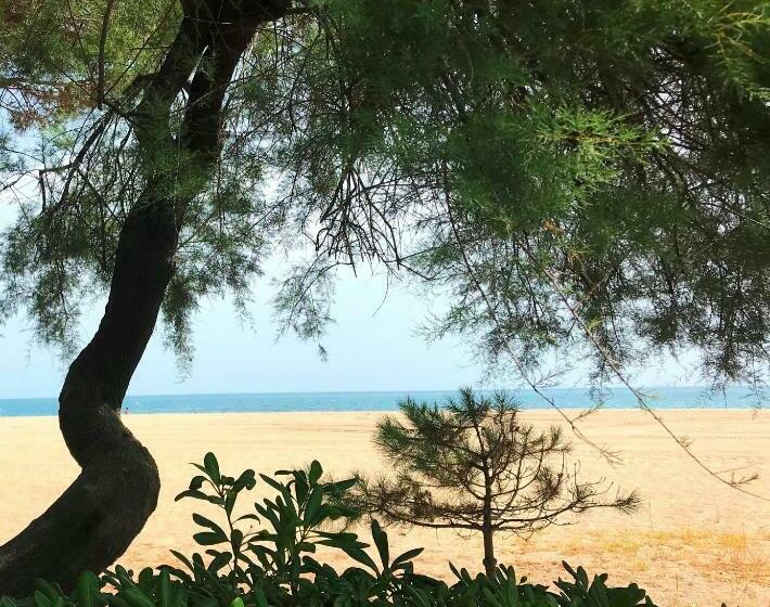 Studio Avec Jardin Front De Mer