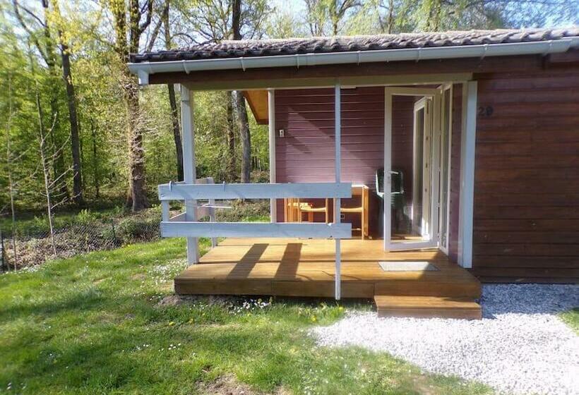 Chalet En Bordure De Forêt
