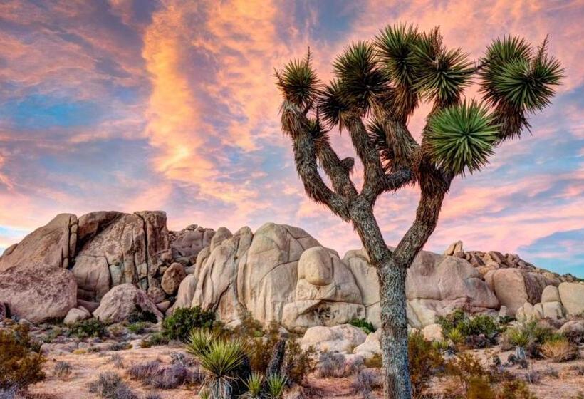 Desert Sunset By Vare Pool Spa Gym Tennis