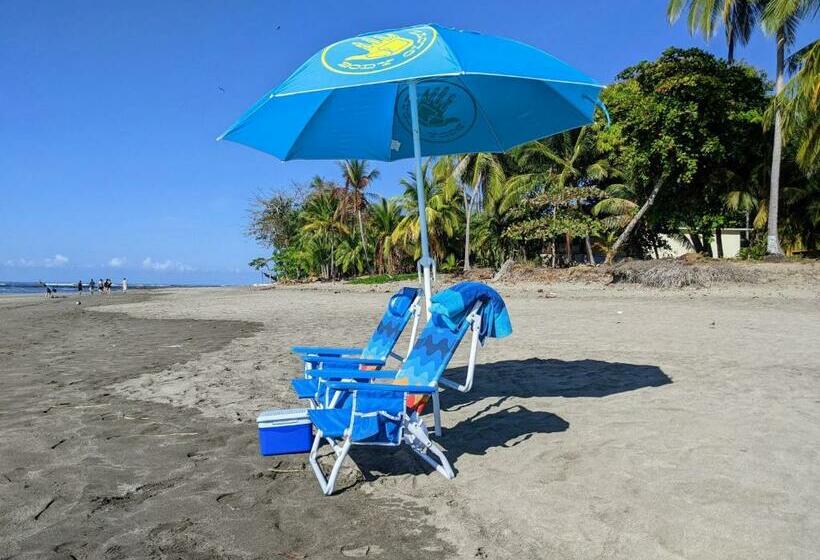 Rooftop Deck Ocean View Walk To Beach