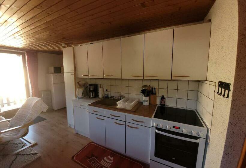 Appartement Chaleureux Au Cœur Des Hautes Vosges
