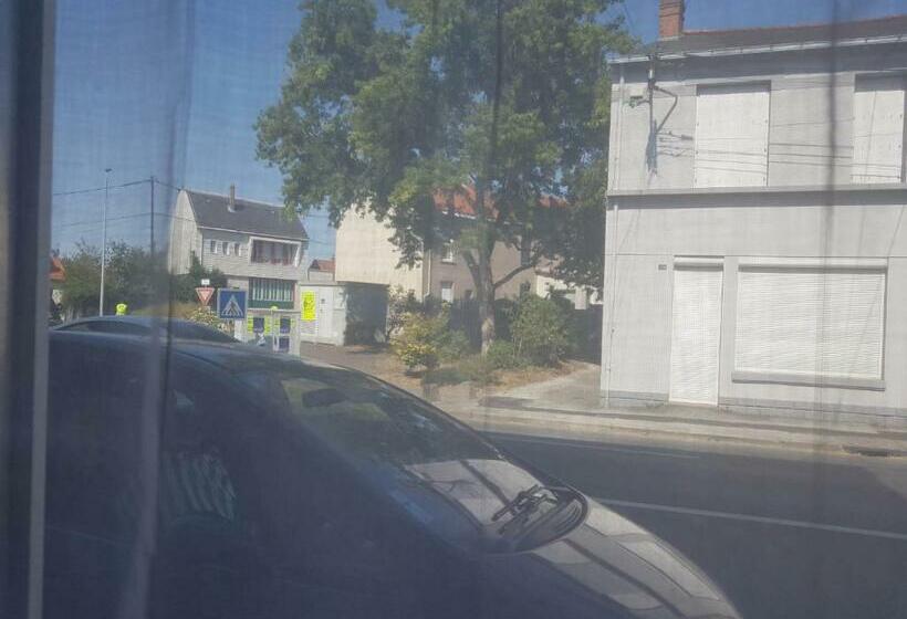 Appartement Plain Pied Proche Centre Ville