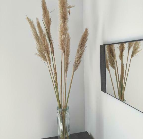 Appartement T3 Plume Hyper Centre D Ernée