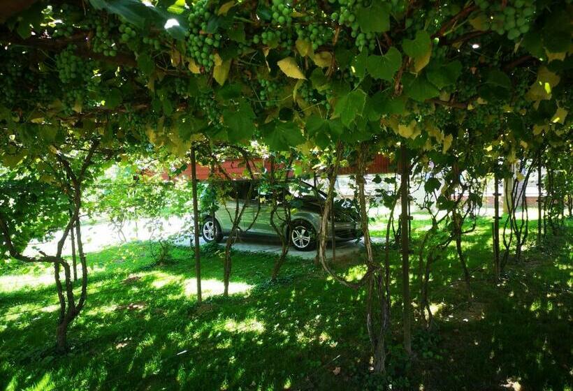 Bagolyvár Vendégház