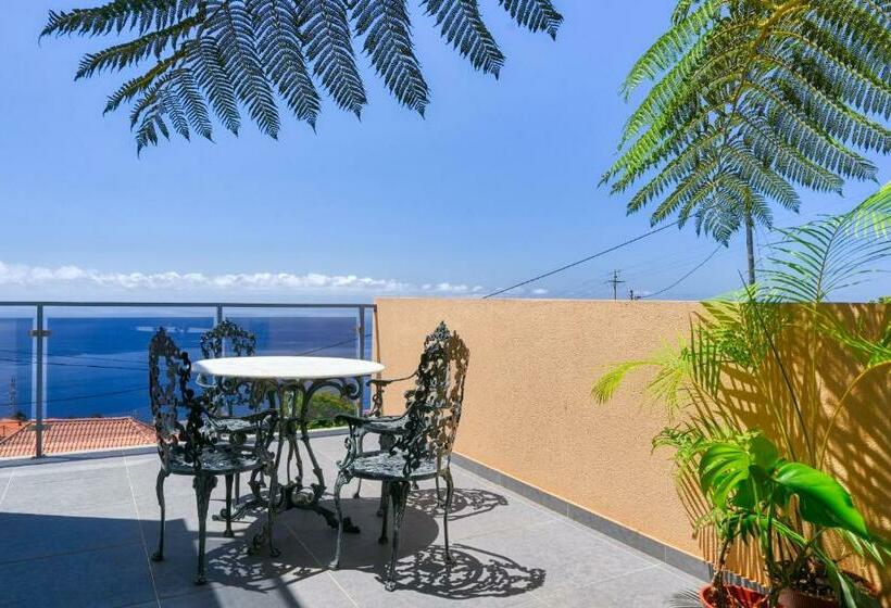 Bairos House, A Home In Madeira