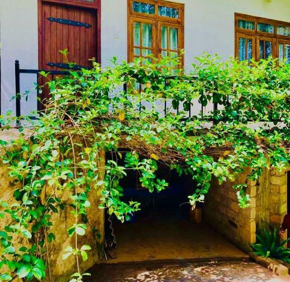 Eco Stay Accommodation