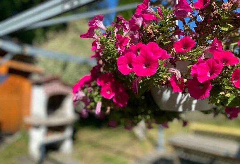 Ferienwohnung Am Franziskanergarten