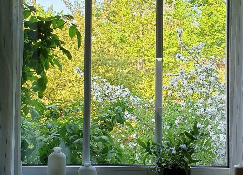 Ferienwohnung Heusler