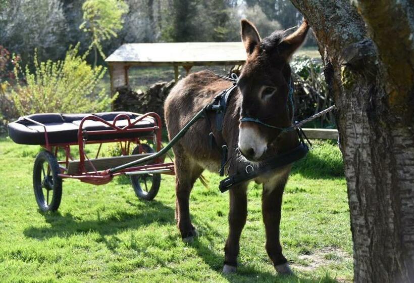 Gite Annarmor Mont St Michel