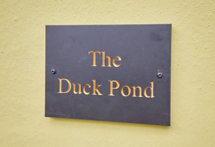 Host & Stay   The Duck Pond