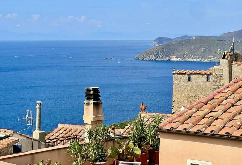 Latorretta By Solturelba Capoliveri