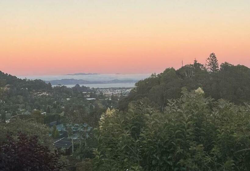 Modern, View Home On San Rafael/san Anselmo Border